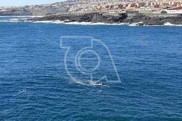 La Avenida Las Delicias, un foco de contagio en La Garita/TA.